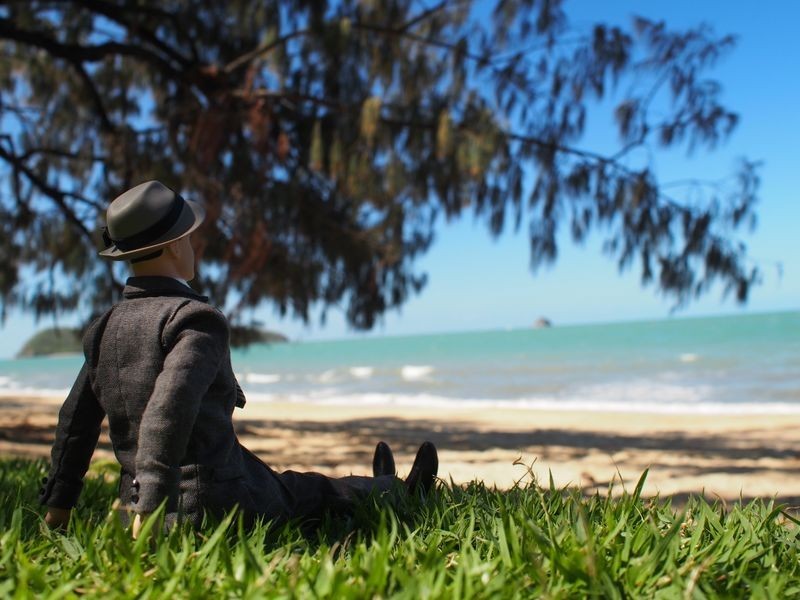 147/419 Coral Coast Drive, Palm Cove QLD 4879