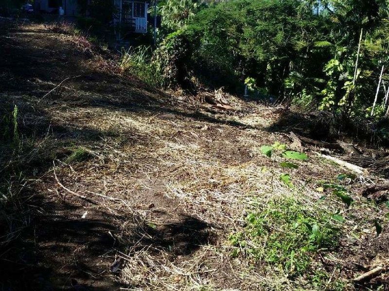 9 Ray Street, Yorkeys Knob QLD 4878