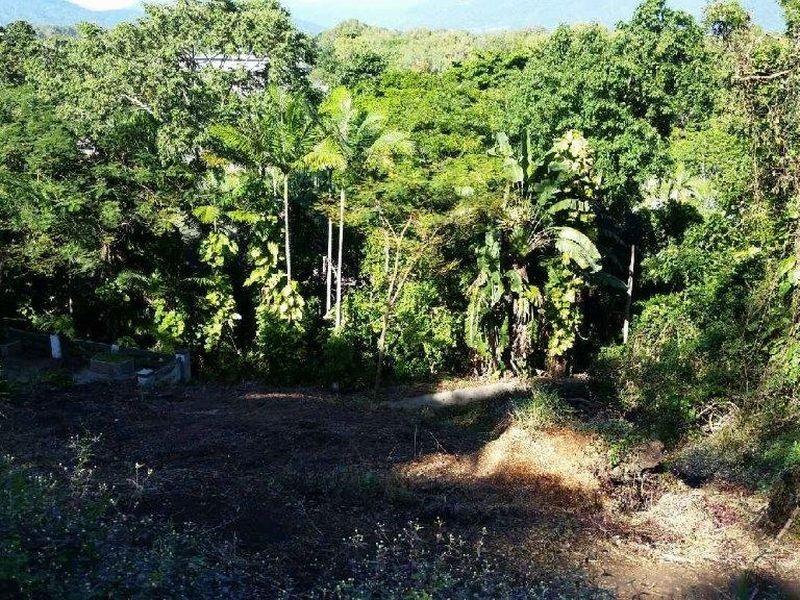 9 Ray Street, Yorkeys Knob QLD 4878