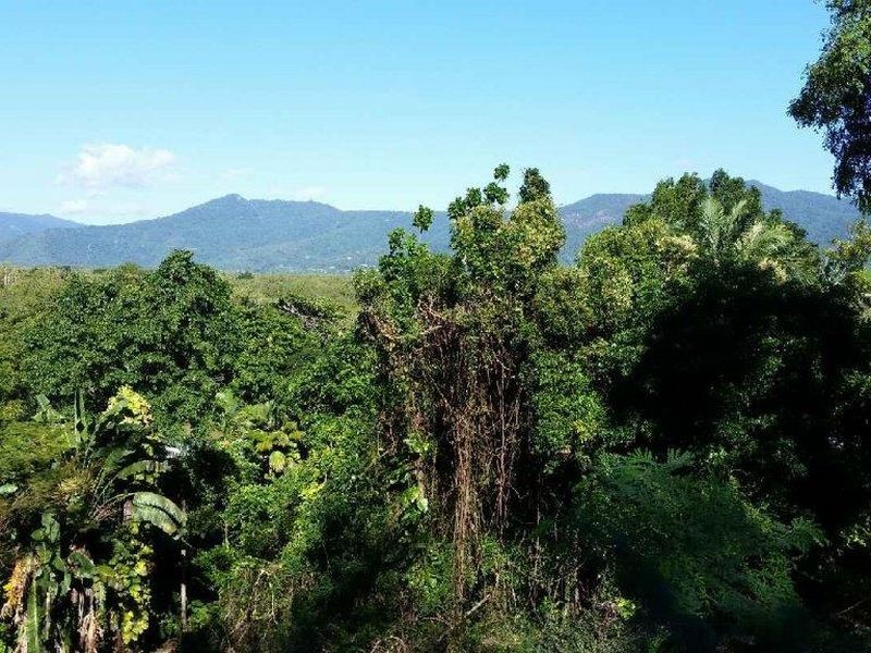 9 Ray Street, Yorkeys Knob QLD 4878