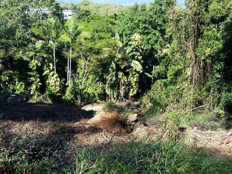 9 Ray Street, Yorkeys Knob QLD 4878