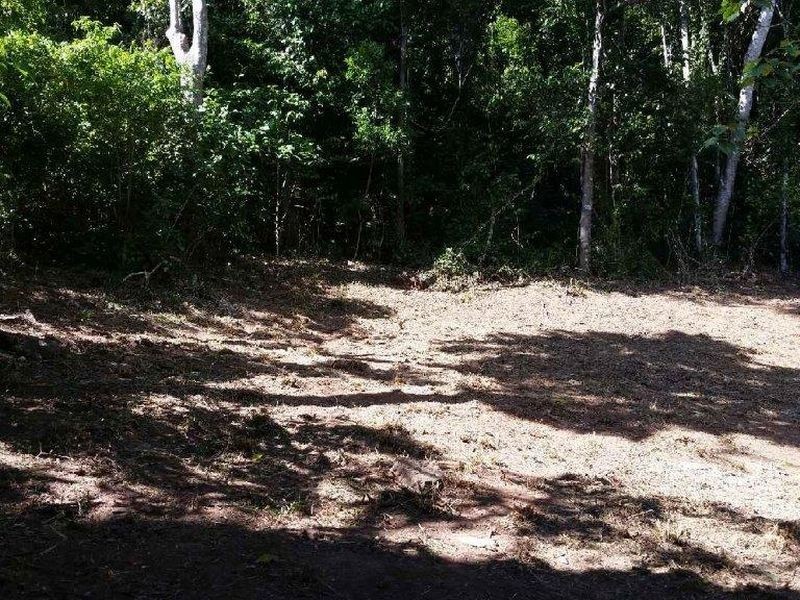 73 Leonards Access, Kewarra Beach QLD 4879