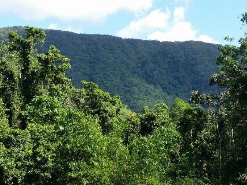 73 Leonards Access, Kewarra Beach QLD 4879