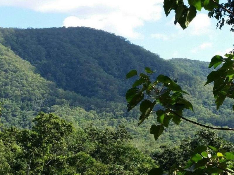 73 Leonards Access, Kewarra Beach QLD 4879