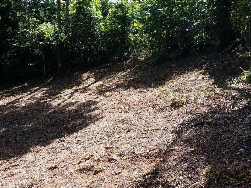 73 Leonards Access, Kewarra Beach QLD 4879