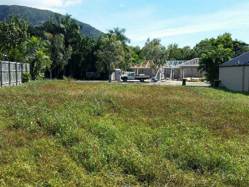 19 Muller Street, Palm Cove QLD 4879