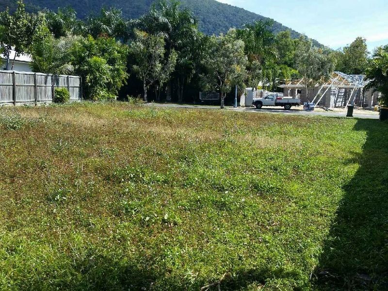 19 Muller Street, Palm Cove QLD 4879