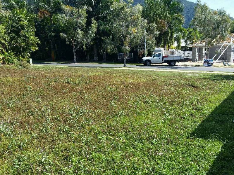 19 Muller Street, Palm Cove QLD 4879