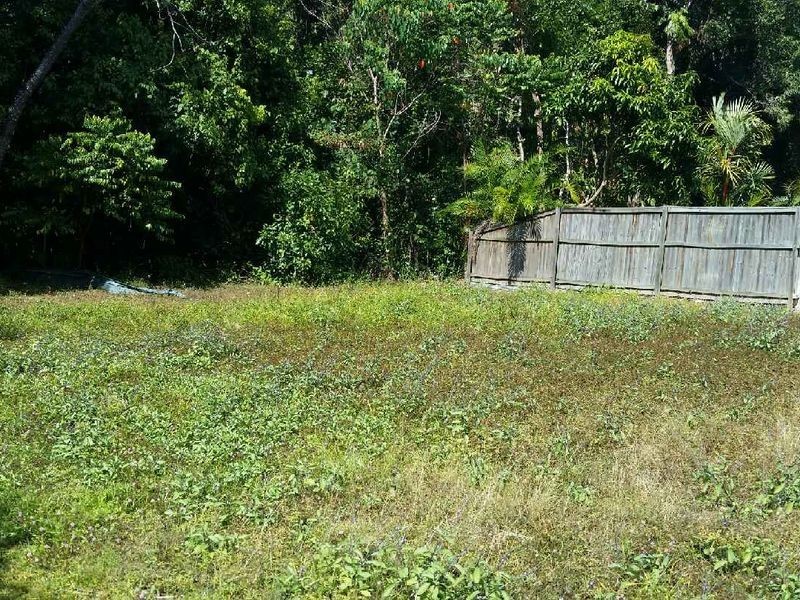 19 Muller Street, Palm Cove QLD 4879