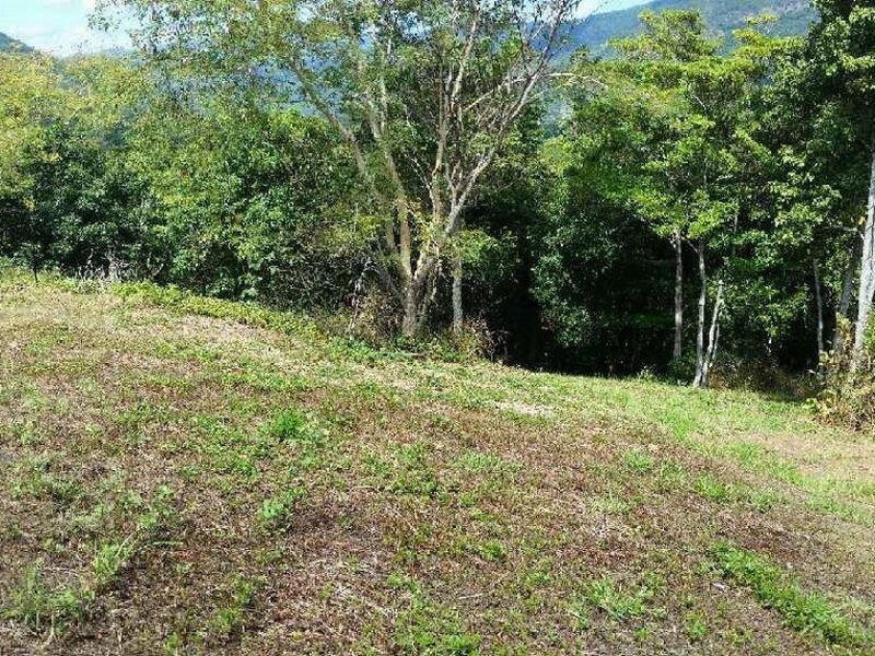 Lot 151 Brinsmead Road (Via Barclay), Brinsmead QLD 4870