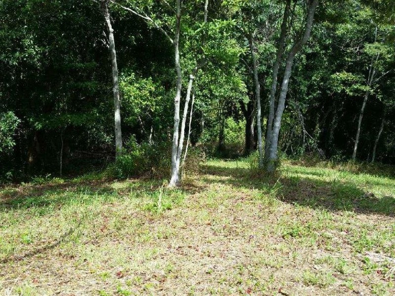 Lot 151 Brinsmead Road (Via Barclay), Brinsmead QLD 4870