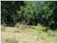 Lot 151 Brinsmead Road (Via Barclay), Brinsmead QLD 4870
