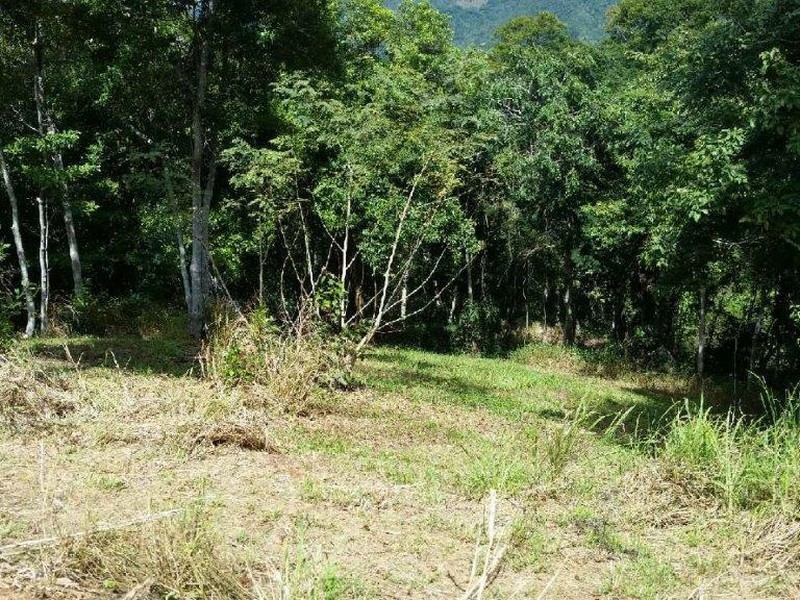 Lot 151 Brinsmead Road (Via Barclay), Brinsmead QLD 4870