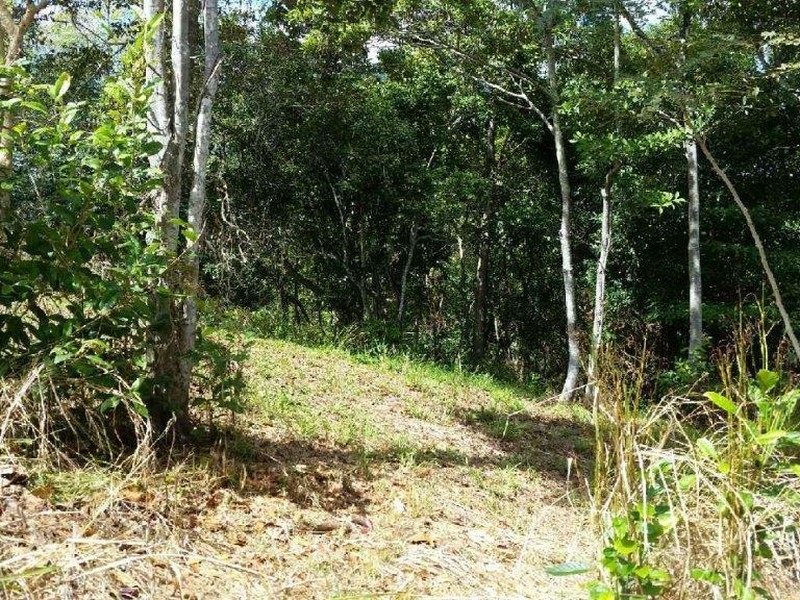 Lot 151 Brinsmead Road (Via Barclay), Brinsmead QLD 4870