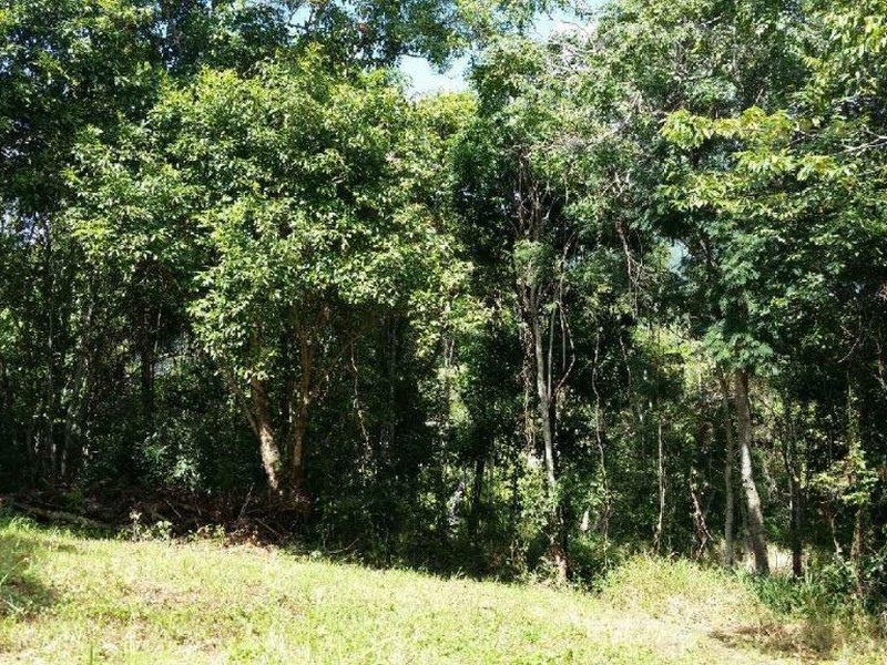 Lot 151 Brinsmead Road (Via Barclay), Brinsmead QLD 4870
