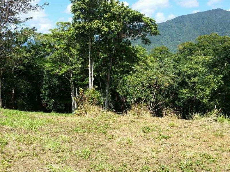 Lot 151 Brinsmead Road (Via Barclay), Brinsmead QLD 4870