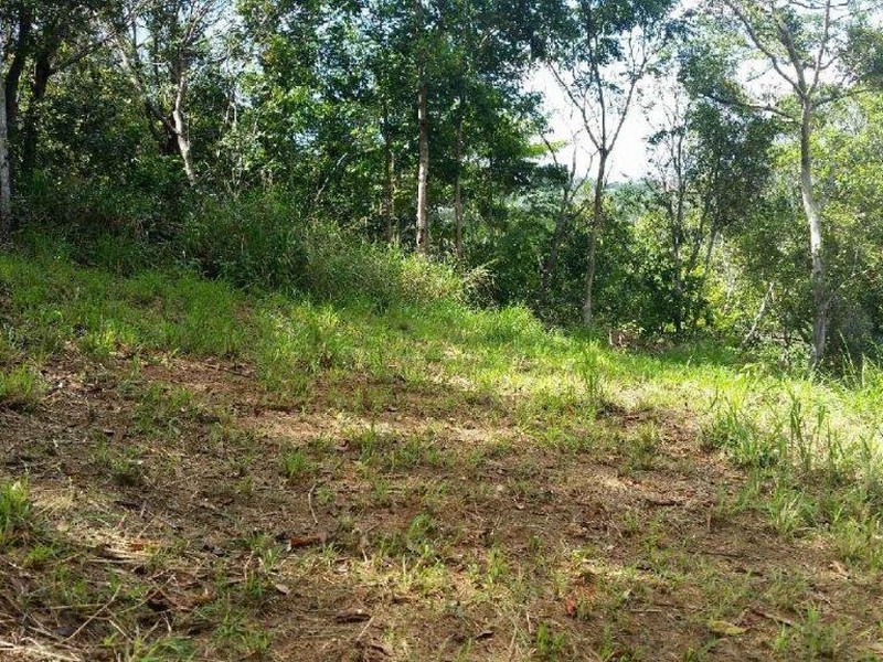 Lot 151 Brinsmead Road (Via Barclay), Brinsmead QLD 4870