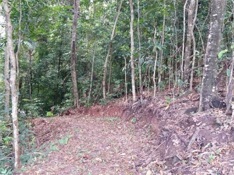 Lot 150 Brinsmead Road (Via Barclay), Brinsmead QLD 4870