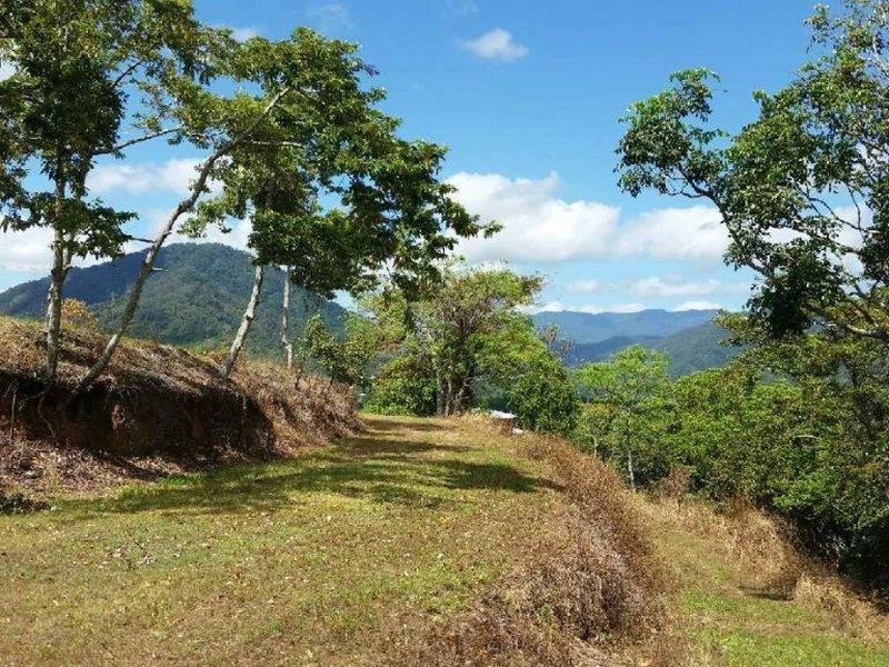 Lot 150 Brinsmead Road (Via Barclay), Brinsmead QLD 4870