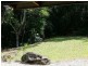 Lot 150 Brinsmead Road (Via Barclay), Brinsmead QLD 4870