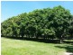 Lot 201 47 Mareeba-Dimbulah Road, Mareeba QLD 4880