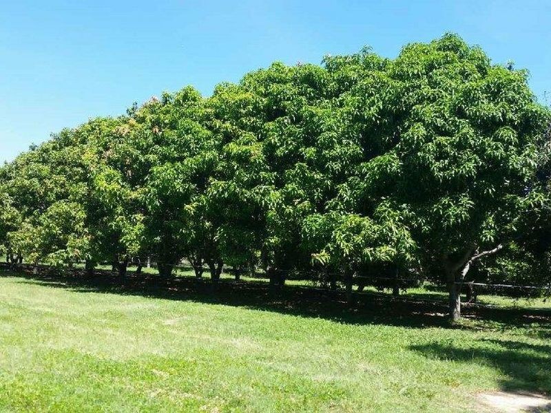 Lot 201 47 Mareeba-Dimbulah Road, Mareeba QLD 4880