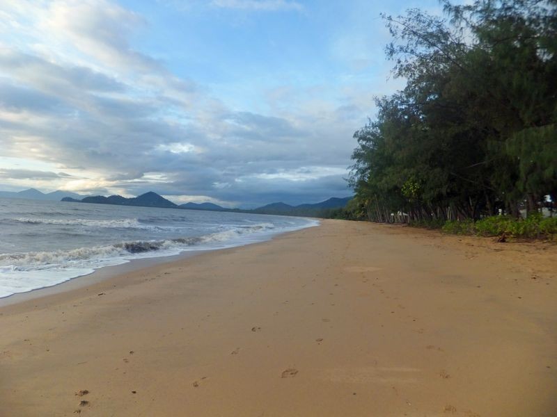 147/419 Coral Coast Drive, Palm Cove QLD 4879