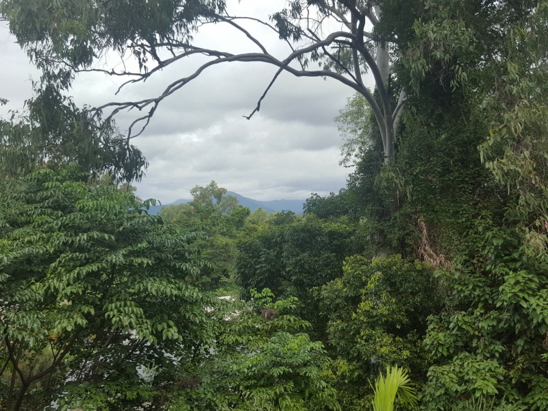 11 Dowsett Close, Yorkeys Knob QLD 4878