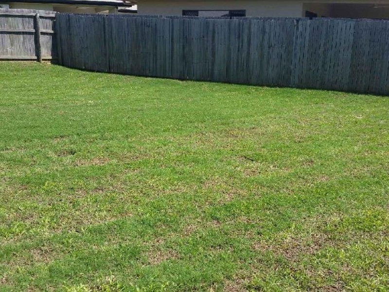 11 Newberry Street, Smithfield QLD 4878