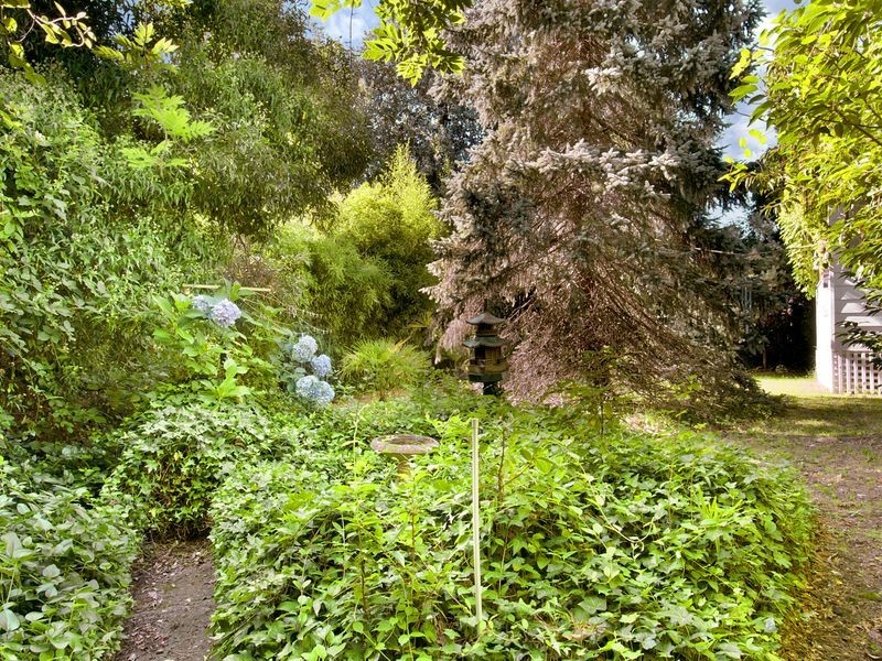 106 Endeavour Street, Red Hill ACT 2603