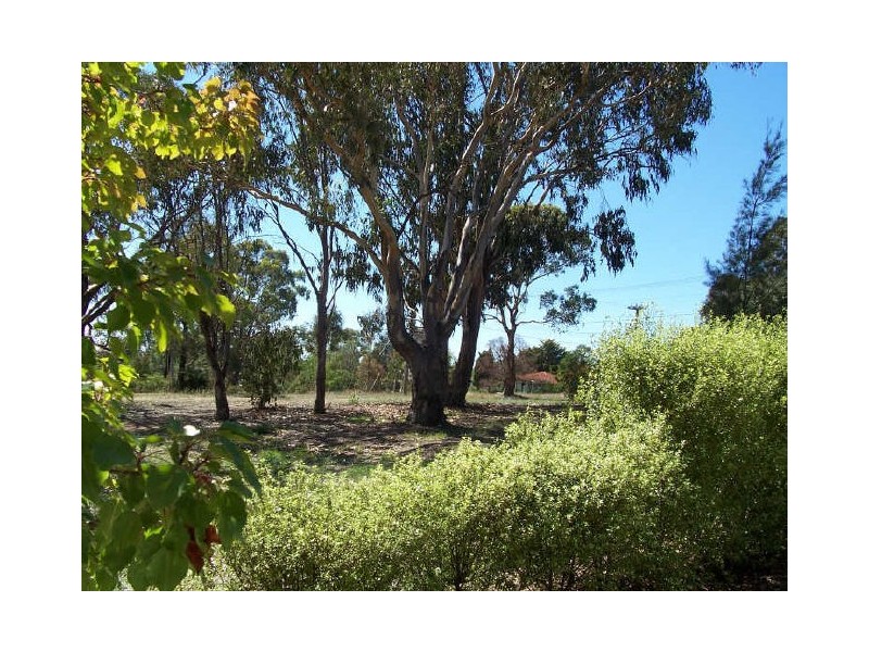 16A Mauldon Street, Chifley NSW 2036