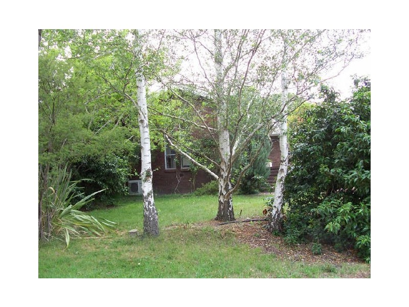 31 Nangor Street, Waramanga ACT 2611