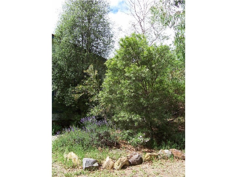2 Barney Street, Downer ACT 2602