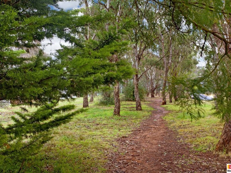 134 Theodore Street, Lyons ACT 2606