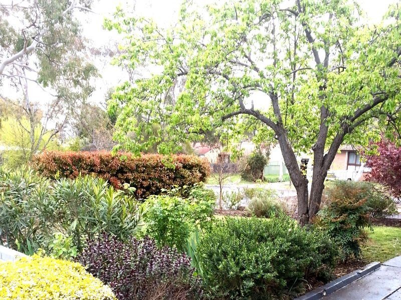 20 Jenner Court, Wanniassa ACT 2903