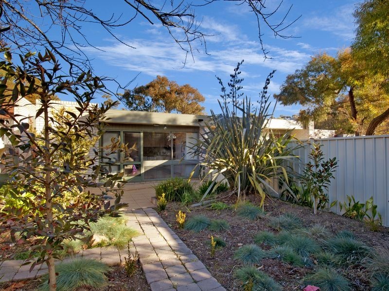 20 Wenholz Street, Farrer ACT 2607
