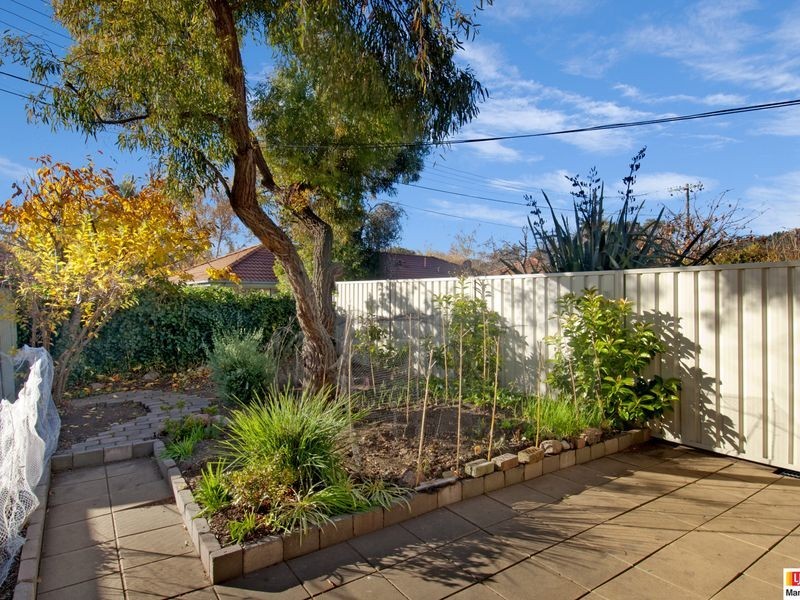 20 Wenholz Street, Farrer ACT 2607