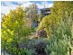 31 Ainsworth Street, Mawson ACT 2607