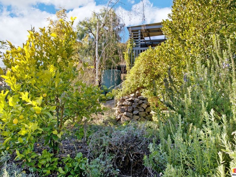 31 Ainsworth Street, Mawson ACT 2607