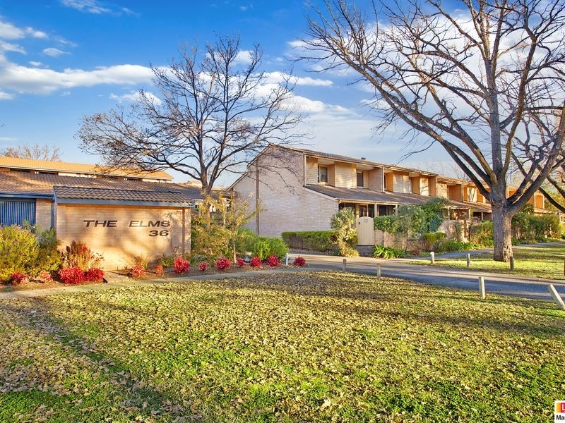 16/36 Gosse Street, Kingston ACT 2604