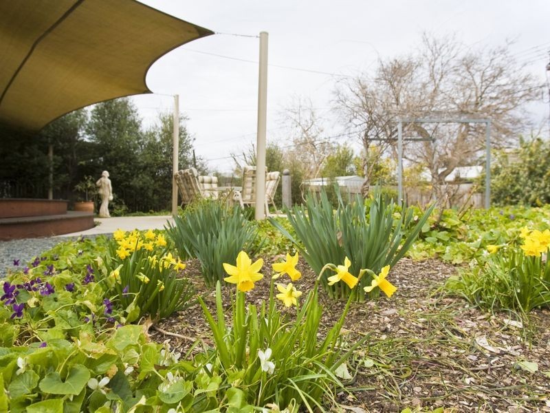 23 Vaughan Gardens, Narrabundah ACT 2604