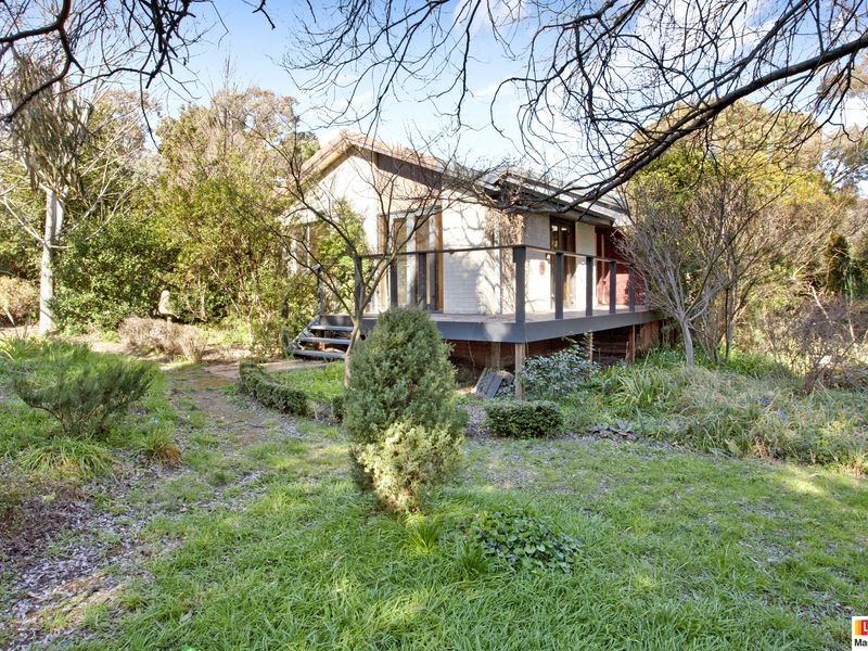 41 Fitchett Street, Garran ACT 2605