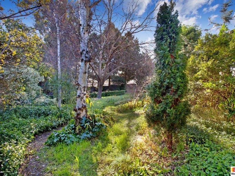 41 Fitchett Street, Garran ACT 2605