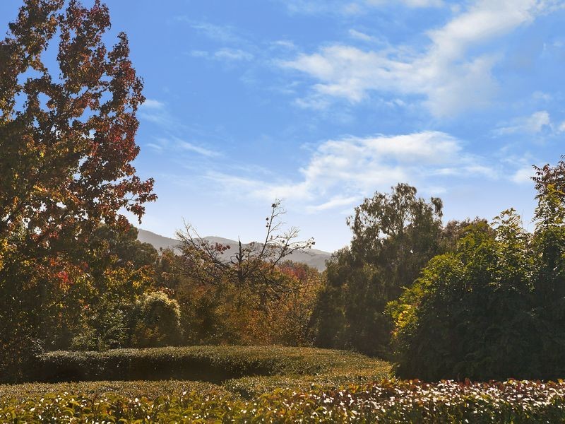 41 Hicks Street, Red Hill ACT 2603