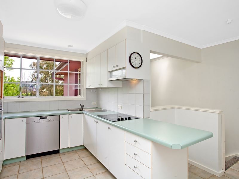 31 Steinwedel Street, Farrer ACT 2607