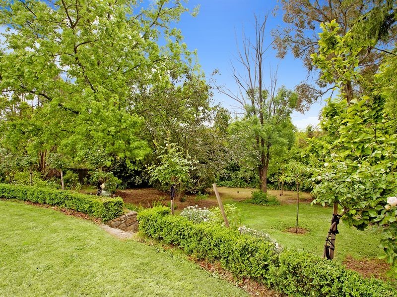 31 Steinwedel Street, Farrer ACT 2607