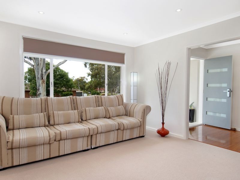 14 Douglas Place, Curtin ACT 2605