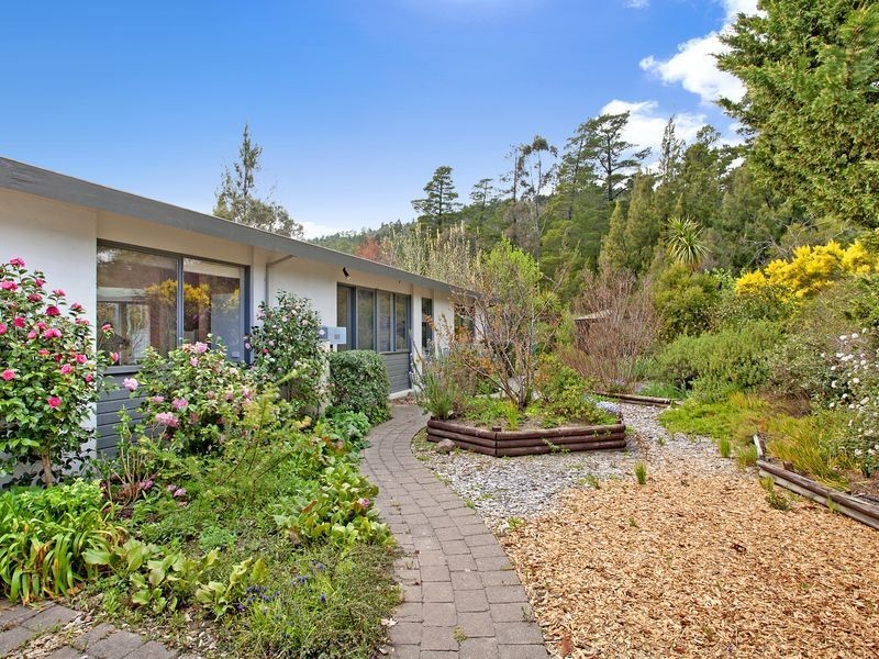 35 Shepherdson Place, Isaacs ACT 2607