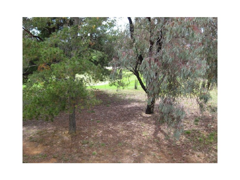 16/51 Leahy Close, Narrabundah ACT 2604