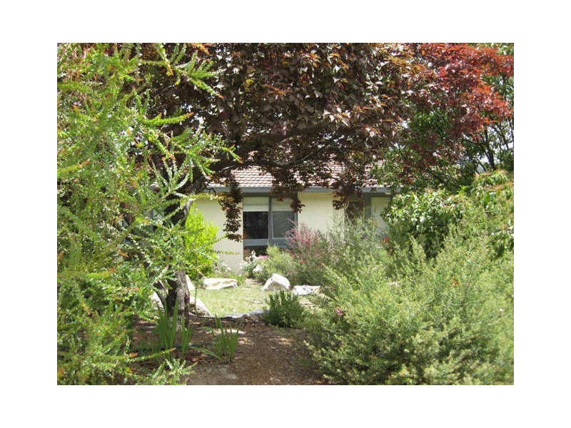 31 Ainsworth Street, Mawson ACT 2607